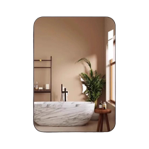 Yueting Live Mirror Bathroom Mirror Cosmetic Mirror Frame Wall-mounted Mirror Free of Punching Bathroom Bathroom Hairdressing Wall Hanging