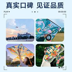 воздушный змей 沙燕风筝潍坊2024年新款微易飞大人儿童山东成专用国潮复古子传统
