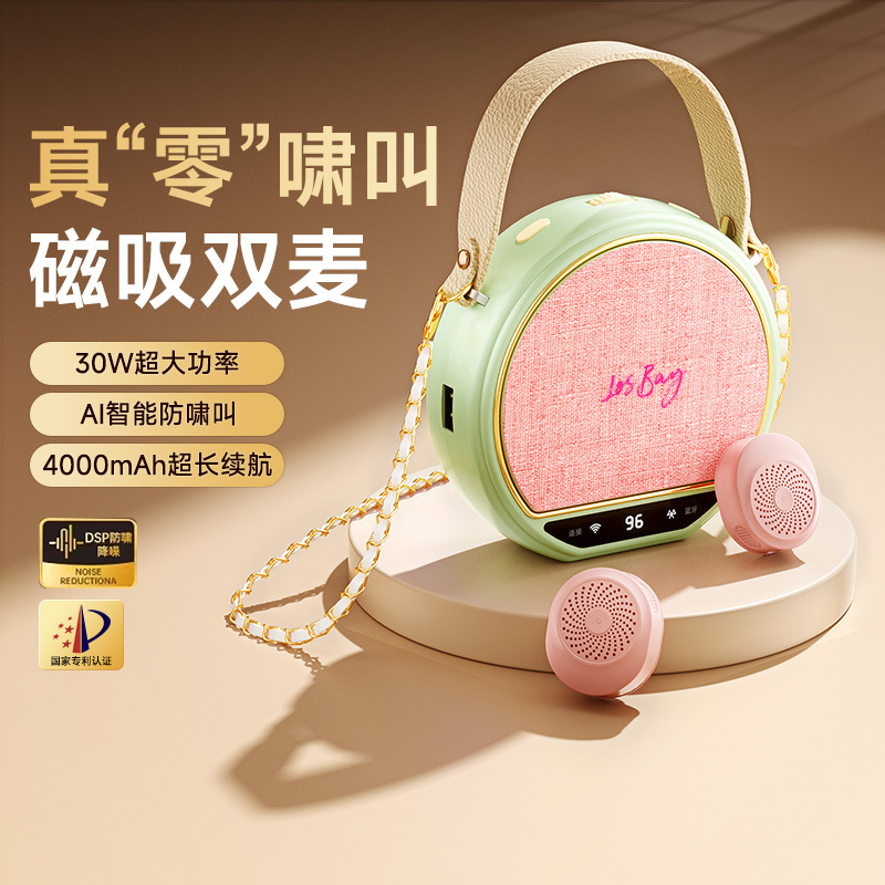 Little Bee Amplifier Magnetic Clip-On Wireless Microphone for Teachers, Special Speaker for Classroom Use, Luoshibei