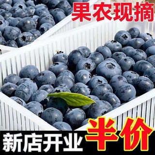 blueberry fresh fruit fresh fruit fresh