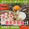 Товары от 天天特卖工厂