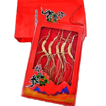 Jilin Changbai Mountain ginseng forest understory ginseng multi-pack elderly old wild ginseng Mid-Autumn Festival and Spring Festival nourishing gift gift box