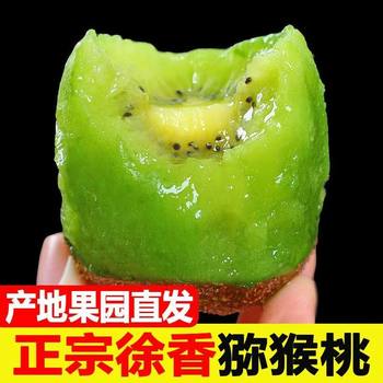 Authentic xuxiang kiwi fresh in season green heart kiwi fruit whole box large fruit shaanxi mei county kiwi fruit