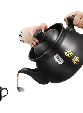 志高全自动中药电煎壶药壶