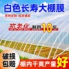 Non-drip film white transparent special greenhouse film