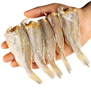 去头黄花鱼干渔民自晒海产干货咸鱼干红杉鱼小黄鱼干海鲜特产水产