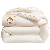Class A Australian wool quilt 100 pure wool quilt winter cotton quilt thickened and warm winter imported cashmere camel hair quilt core