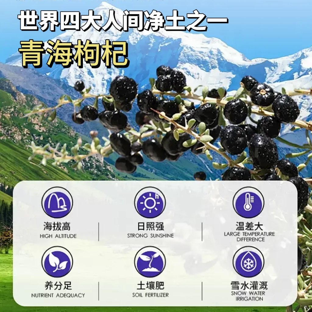 黑枸杞原浆NFC鲜榨，正宗青海宁夏黑果枸杞，揭秘花青素的超级力量！-枸杞原浆-淘宝百科网