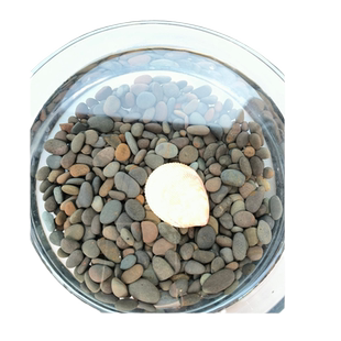 铁胆沙鱼缸底砂造景沙天然黑工砂乌龟缸石头水族箱装饰鳌虾水草沙