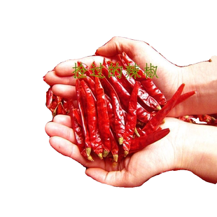 干辣椒特辣干红辣椒段辣椒粉面超辣辣椒干货调料油泼辣子海椒微辣