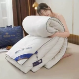 Пятизвездочный отель весна и осенний стеганый одеял. Лето-прохладное стеганое одеяло 6 килограммов сингл и двойные стеганые одеяла, утолщенные от шелкового хлопкового ядра зимнего одеяла за четыре сезона