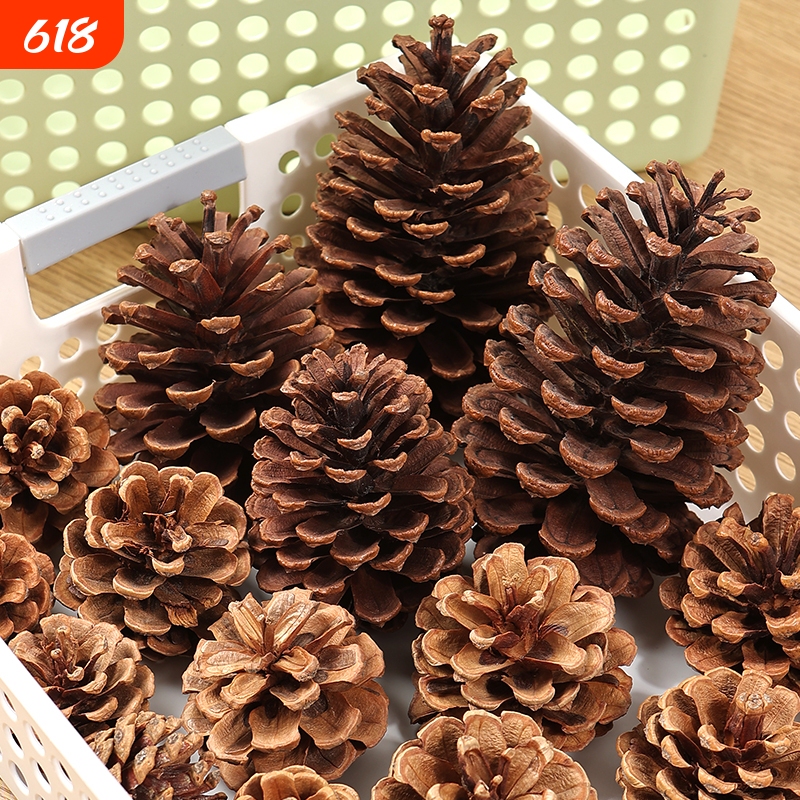 Pine Cone and Pine Cone Decoration DIY Materials for Kindergarten Environment Creation Accessories, Mini Dried Flowers, Handmade Branches