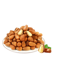 BESTORE Korean Pine 500g Northeastern Pine Nuts Hand-peeled Open Pine Nuts Canned Dried Fruit Snacks New Arrival