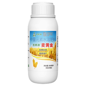奥潍奥丰麦黄金叶面肥小麦专用增产剂抗倒穗大灌浆分蘖水溶肥正品