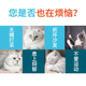 Funny Cat Stick Bite Resistant Belt Bell Feather Self-Hi Pet Cat Toy Steel Wire Super Long Rod Meow Supplies for Kittens