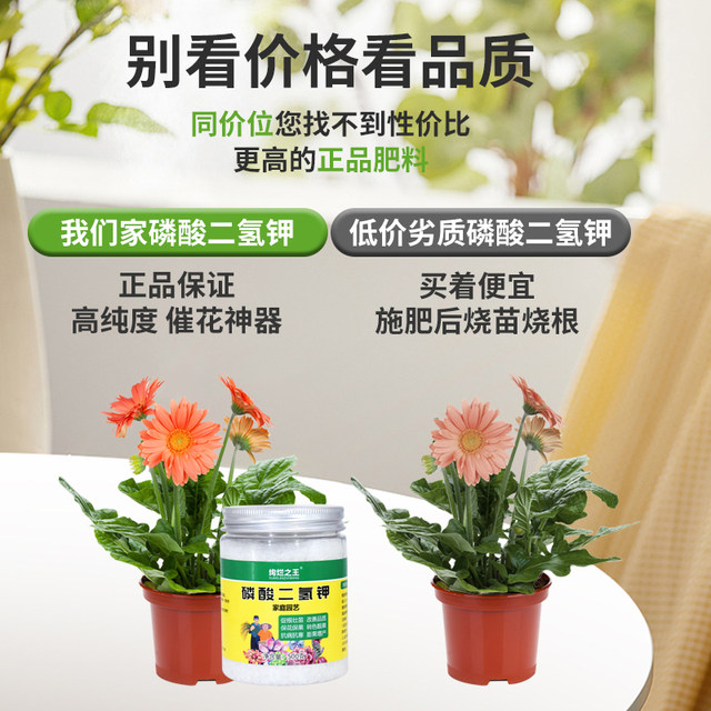 Potassium dihydrogen phosphate flower fertilizer ຝຸ່ນ foliar ຝຸ່ນ foliar ຈຸດປະສົງທົ່ວໄປ phosphorus-potassium ປຸ໋ຍສົ່ງເສີມການອອກດອກ ປຸ໋ຍດອກປະສົມ ປຸ໋ຍດອກ-ອາຊິດຊູນຟູຣິກ