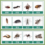 Средство от комаров, дорожный гель, детская жидкость от комаров