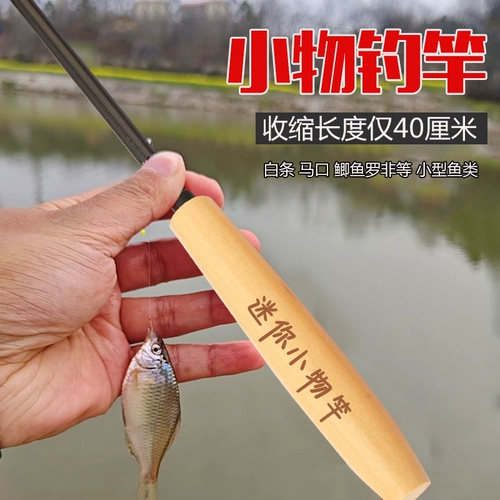 Маленькая рыбацкая рыбалка набор микро рыбалки.