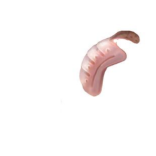 婴儿耳廓矫正器宝宝耳朵定型贴垂耳耳夹新生儿硅胶招风耳耳撑纠正