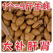 (New arrival) Large open apricot nuts bagged with shell cooked open apricot kernel snacks hand peeled casual snacks