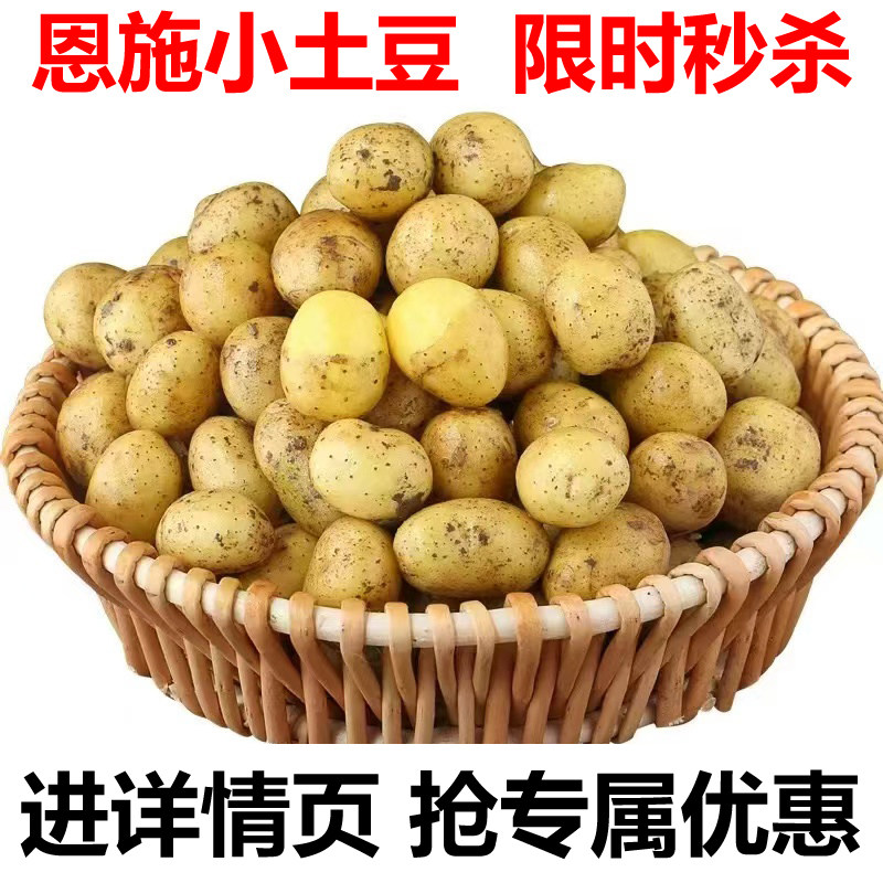 恩施小土豆，高山新鲜美味，一口咬下全是家乡的味道！