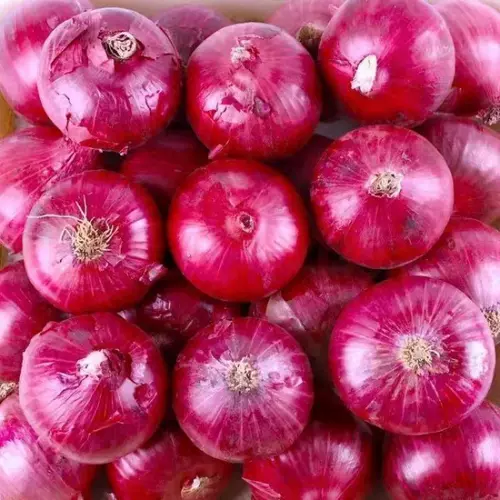 Юньнань Специальные фруктовые лук 10 фунтов фиолетового Cortee Красный зеленый лук свежие овощи свежие овощи вырыты и едят хрустящую сладость в сезоне