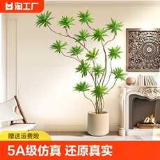 бонсай 绿植百合竹落地仿真植物盆栽室内睡莲假树装饰摆件造型客厅角落