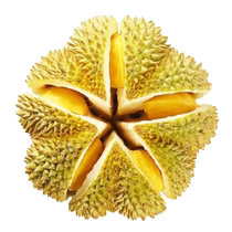 Classe A Thé dor importé thaïlandais de blé entier durian à grains entiers avec coquille en saison fraîche dazote liquide de leau de fruits Chunfeng 9 ba fruit de palmier