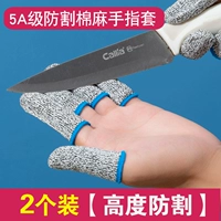 Класс 5а хлопковой моти