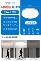 [Человеческое восприятие тела] 30 Вт люди белый свет приходят и уходят, когда они приходят,