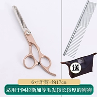 Зубные разрезы+стальная расческа [отправьте пакет хранения]