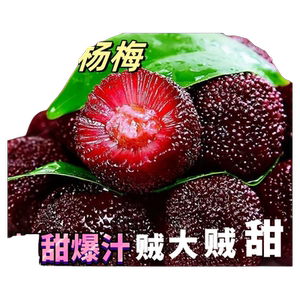 新鲜冰杨梅冷冻泡酒商用冰冻水果泡酒非仙居杨梅一整箱包邮杨梅