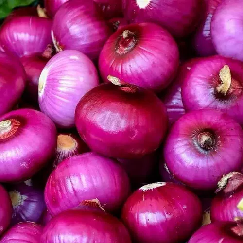Юньнань Специальные фруктовые лук 10 фунтов фиолетового Cortee Красный зеленый лук свежие овощи свежие овощи вырыты и едят хрустящую сладость в сезоне