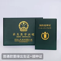 Обычная модель Свидетельства о зеленой рождении+Сертификат о приготовлении