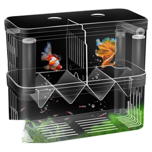 鱼缸隔离盒孵化盒孔雀鱼凤尾繁殖盒小鱼苗幼鱼鱼苗缸外产房孵化器
