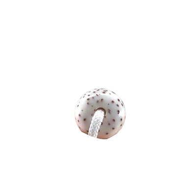 海南星月菩提子手串108颗