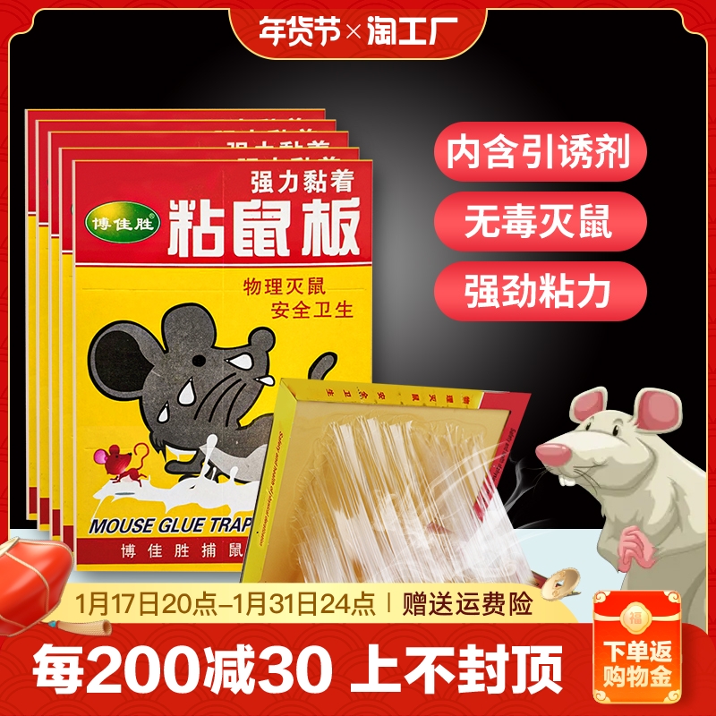 20 powerful sticky rat-plate rats full-one-nest end catching big rat stick department store home Stained Rat-Killer Mousetrap-Taobao