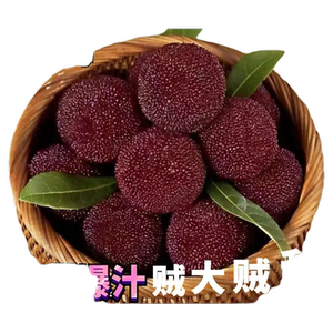 杨梅新鲜冷冻当季水果现摘正宗产地直发多汁中颗果酸甜整箱包邮