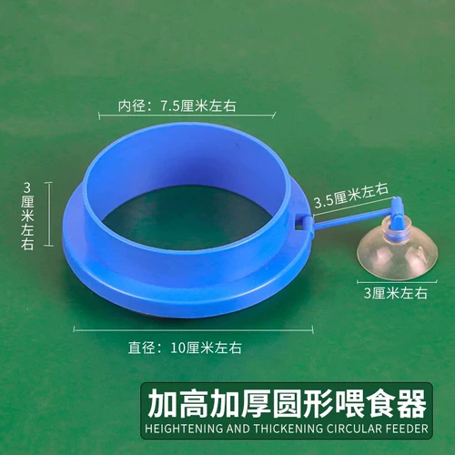 Попугающая рыба Черепаха Рыба Рыба Фуд плавающей корм