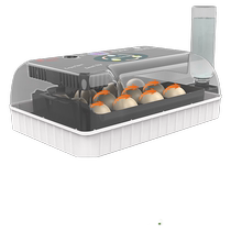 Rutin chicken incubator small household fully automatic intelligent parrot egg incubator incubator insulated pigeon