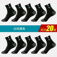 Весна и осень четыре сезона -20 двойной 20 черные