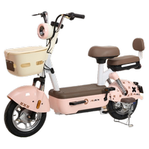 New Yuan Universe pro electric car 2024 electric bicycle womens adult small student battery car lithium battery
