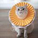 Mousse ຕົກຫລຸມຮັກກັບແບບຝຣັ່ງ aimoe aimoe Elizabeth ວົງ cat EVA ultra-light shame circle pack ສອງສິ້ນ