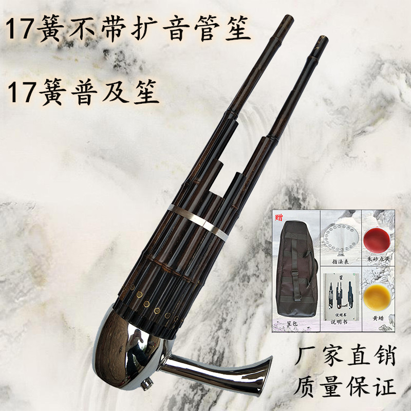 17 reed amplification round sheng musical instrument professional adult children beginner cegd tune national musical instrument sheng manufacturers direct sales