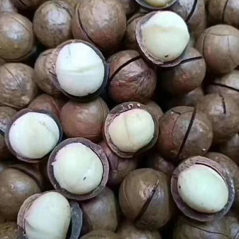 Hawaii fruit 500g snack Xinjiang special cream flavor