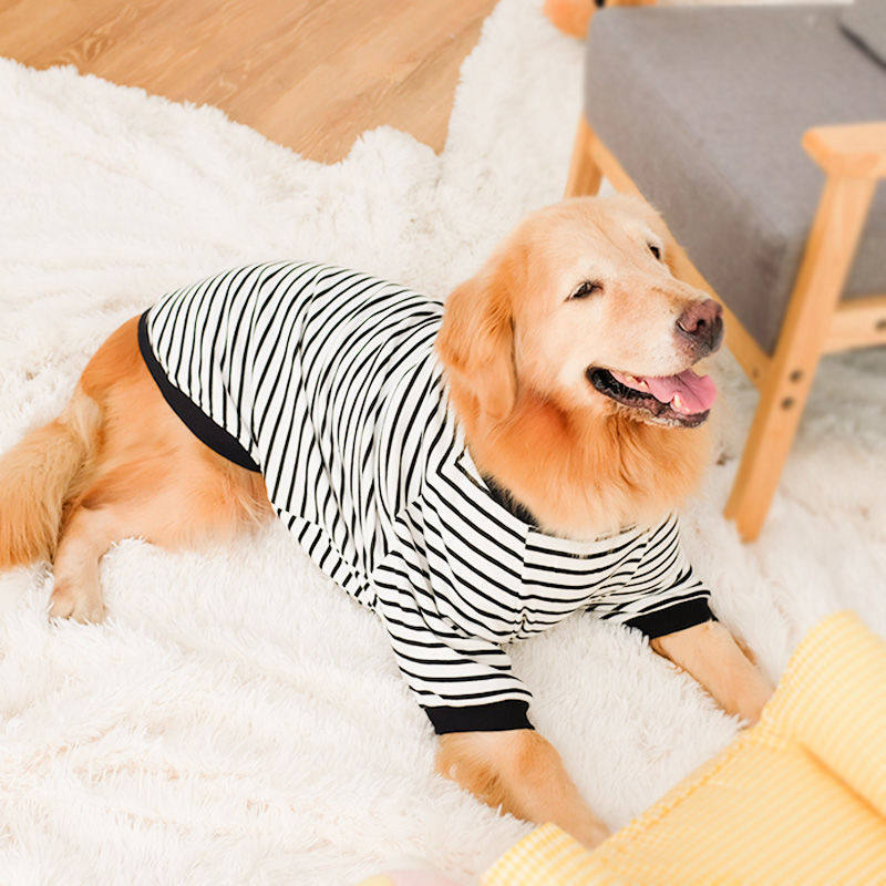 Big dog clothes autumn and winter summer thin section autumn golden retriever Samoyed medium and large dog clothing Labrador
