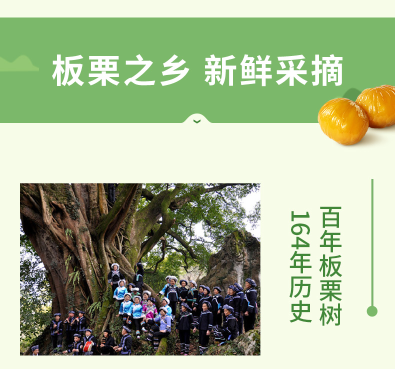 吉祥航空合作食品 哆吉栗 板栗仁 500g 图4