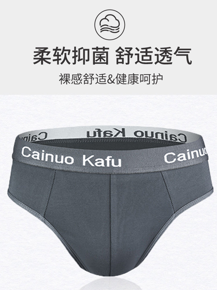 Men's Antibacterial Briefs, Loose Fit, Large Size, Breathable Underwear for Teenagers, New Winter 2026 Model