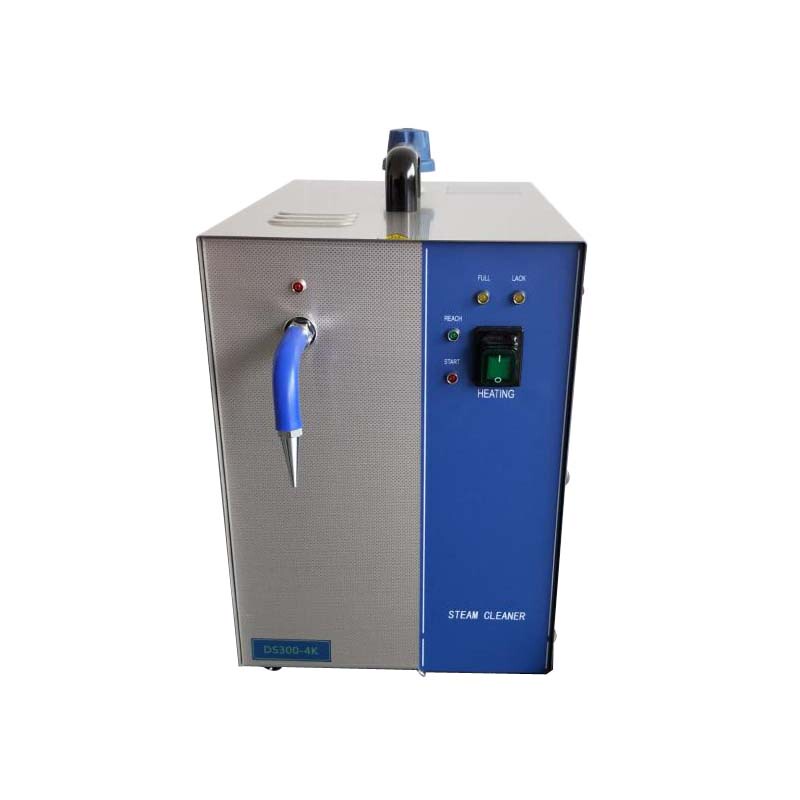 Desen 4-Liter Steam Cleaning Machine 4L Steam Cleaning Machine High Temperature Jet Machine Jewelry Cleaning Machine