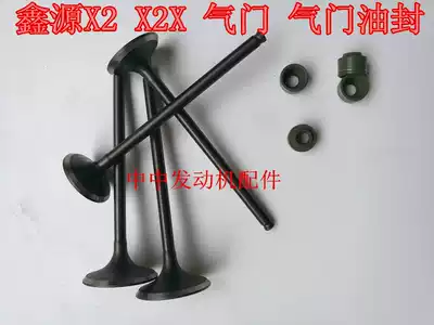 Xinyuan X2 X2X six days AX-1 silver steel 250 water-cooled four-valve 250 valve Dadong valve intake and exhaust nails